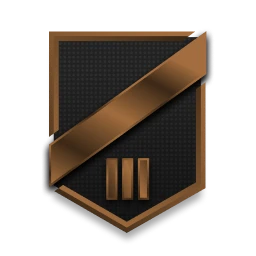 Level 13