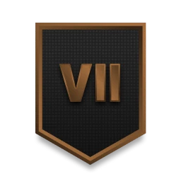 Level 7