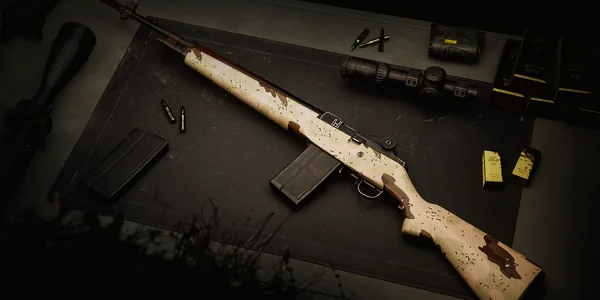 Chocolate Chip skin on the M14